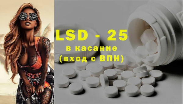 ECSTASY Алзамай