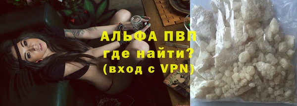 сатива Абаза