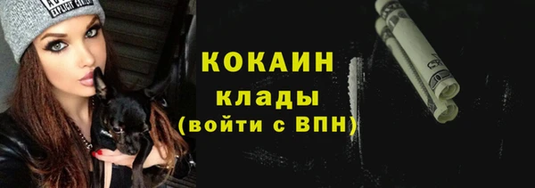 ECSTASY Алзамай