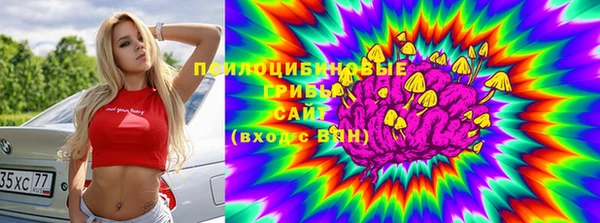 ECSTASY Алзамай
