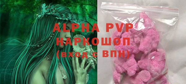 ECSTASY Алзамай