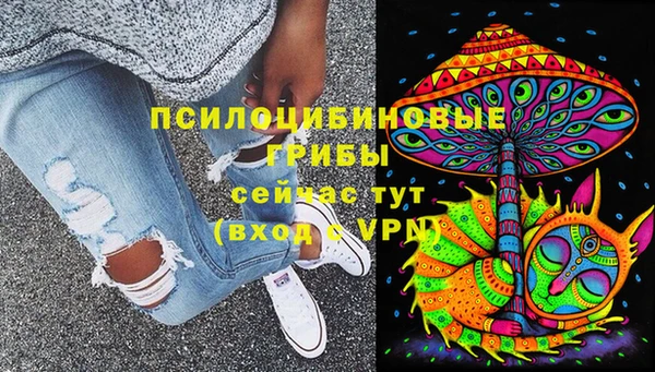 ECSTASY Алзамай