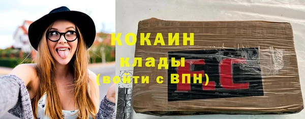 ECSTASY Алзамай