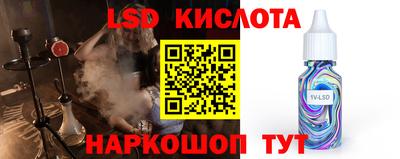 ECSTASY Новозыбков