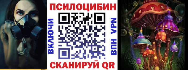 дарнет шоп  Тула  Псилоцибиновые грибы Psilocybine cubensis 